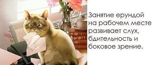 ���� ������� :3 - 5 ������� 2014 � 13:07