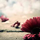  ***,  -  31  2014    