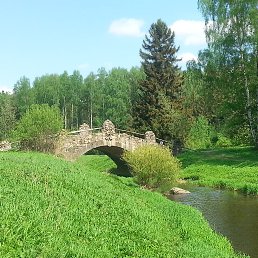  , -, 53  -  21  2014