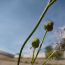 ���� �����, ������� - ��������� 18 ������� 2014 � ������ �17.08.2014�.�