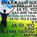  -, , 41  -  29  2014    