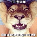 ���� ���, ������-��-����, 38 ��� - ��������� 21 ������ 2014 � ������ ������ ��������