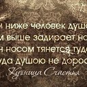  , , 54  -  11  2014    