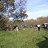 ���� ���������, ���������, 43 ���� - ��������� 4 ��� 2014