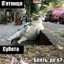 ���� �����, ������, 41 ��� - ��������� 16 ���� 2014 � ������ ������ ��������