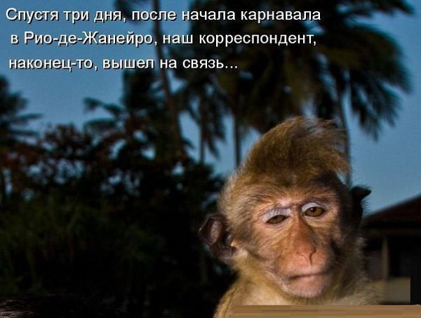 Ksenia - 29  2014  00:14