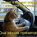 ���� Madam, �����-��������� - ��������� 10 ���� 2014 � ������ ������ ��������