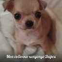 ���� ����, �������������, 31 ��� - ��������� 25 ������ 2014 � ������ ������ ��������