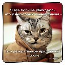 ���� �������, ������, 51 ��� - ��������� 27 ���� 2014 � ������ ������ ��������