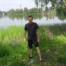 �����, �������, 43 ����