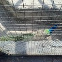 ���� ����������, ������� �����, 30 ��� - ��������� 27 ������ 2014 � ������ ������ ��������