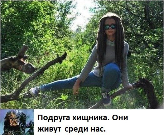    <a href=
