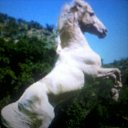 �������.��� 2014�. �� ������� ���������