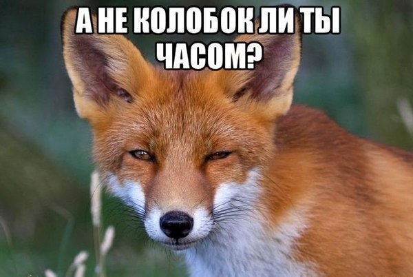  , ,   ! - 16  2014  00:11