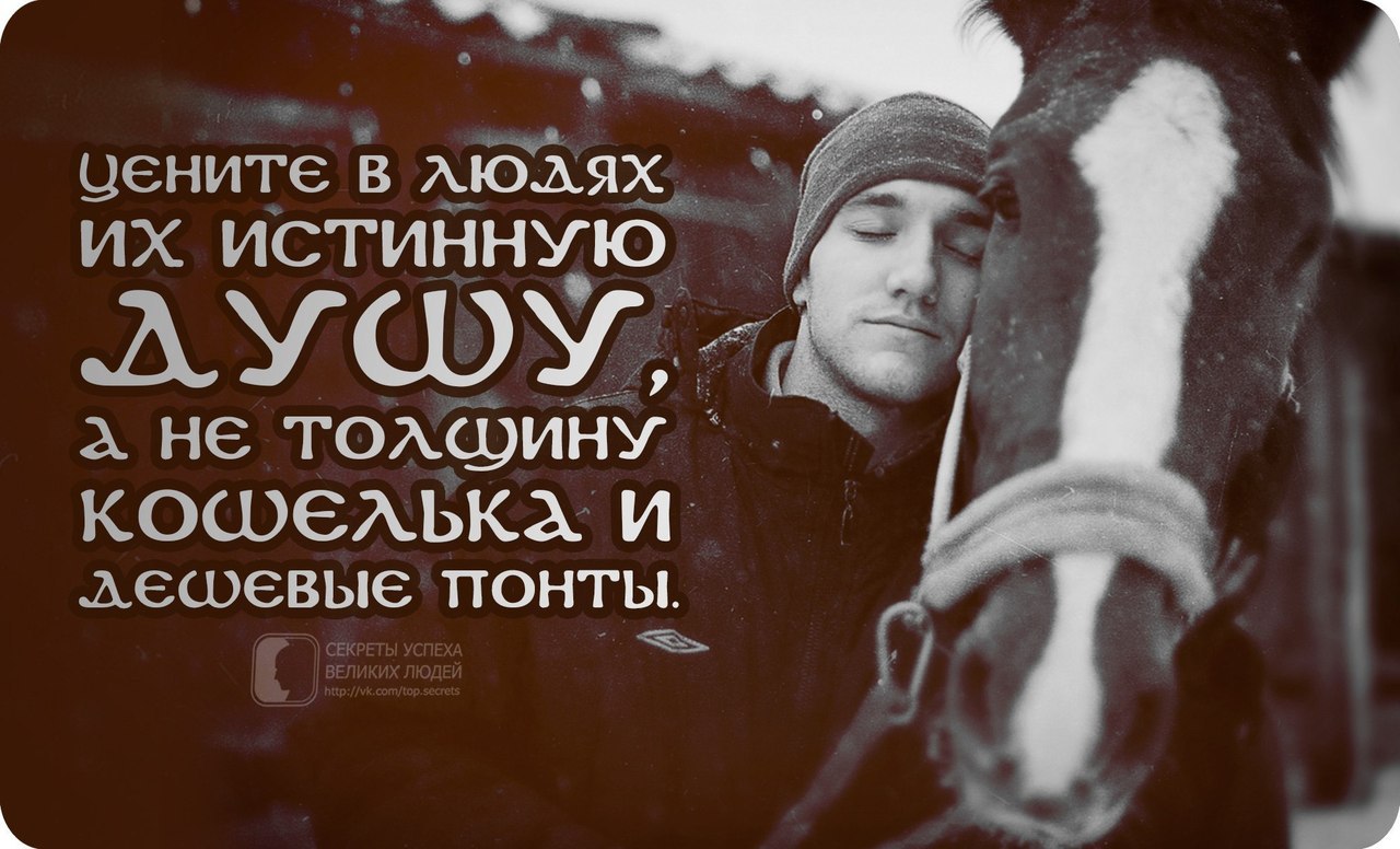 Успех великий новгород