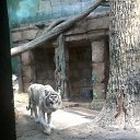 ���� ����������, ������� �����, 30 ��� - ��������� 27 ������ 2014 � ������ ������ ��������