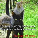 ���� ��������, ���������, 57 ��� - ��������� 1 ��� 2014 � ������ ������ ��������