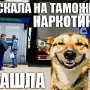 ���� ��������, ������������, 61 ��� - ��������� 19 ������� 2014 � ������ ������ ��������