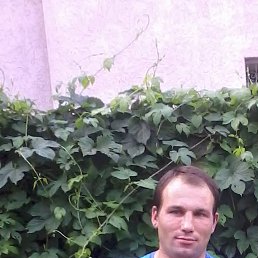 ������, �����������, 41 ���