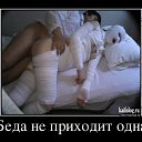 ���� �����, �����, 60 ��� - ��������� 4 ��� 2014 � ������ ������ ��������