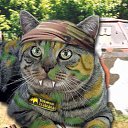 ���� ����, ���, 51 ��� - ��������� 8 ��� 2014 � ������ ���� ����������