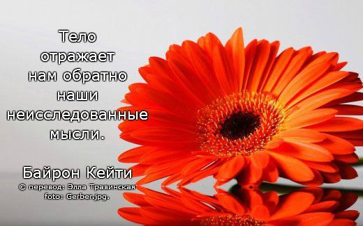  , ,   ! - 13  2014  01:43