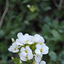 ���� ������, ������, 49 ��� - ��������� 25 ������ 2014 � ������ �������� � ������