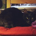 ���� Ami, ������, 32 ���� - ��������� 1 ��� 2014 � ������ ������ ��������