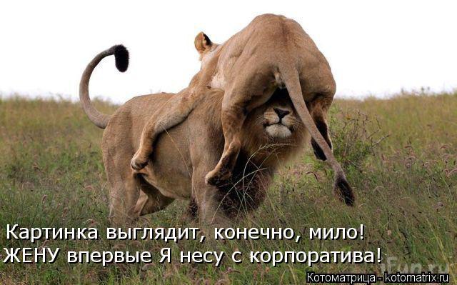 Alex Linadherent - 16  2014  13:51