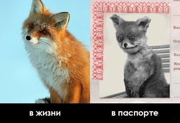   - 9  2014  01:03