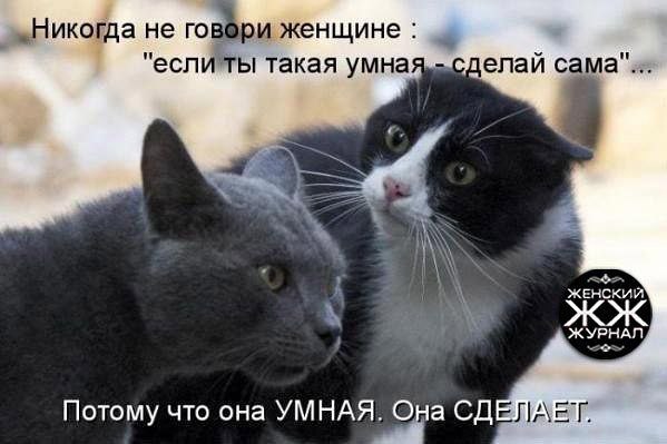 ))) - 29  2014  08:08