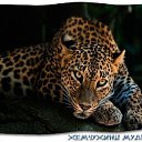 ���� �������, ������ - ��������� 22 ��� 2014 � ������ ������ ��������