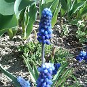 ���� �������, ������, 58 ��� - ��������� 1 ������ 2014 � ������ ��������