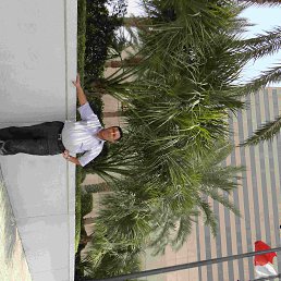 ���� Nahayat, �����������, 63 ���� - ��������� 11 ��� 2014