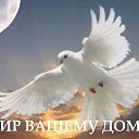 ���� �����, ����������� - ��������� 23 ���� 2014 � ������ ���� ����������