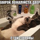 ���� �.�., �����������, 61 ��� - ��������� 29 ����� 2014 � ������ ���� ���������߻