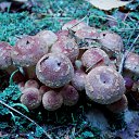 ���� �����, �����, 64 ���� - ��������� 6 ��� 2014 � ������ ������������ ������