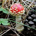 ���� �����, �����, 64 ���� - ��������� 6 ��� 2014 � ������ ������������ ������