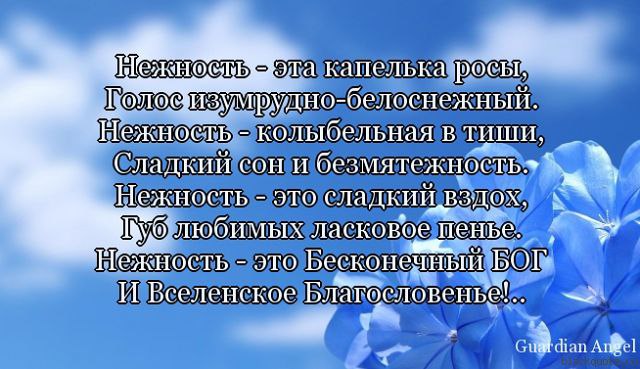 ���� - 21 ���� 2014 � 16:46