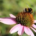  Ww, --, 75  -  21  2014   