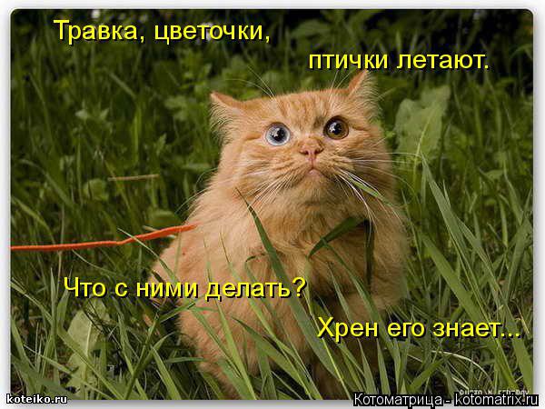 Alex Linadherent - 18  2014  07:16
