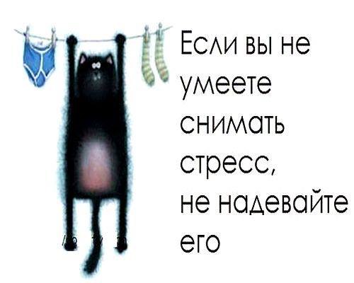  - 16  2014  21:32