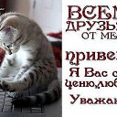 ���� �����, �����, 53 ���� - ��������� 11 ���� 2014 � ������ ���� ����������