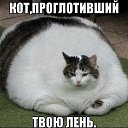 ���� �������, �������, 67 ��� - ��������� 9 ��� 2014 � ������ ������ ��������