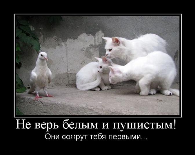 Олег - 26 июня 2014 в 22:36