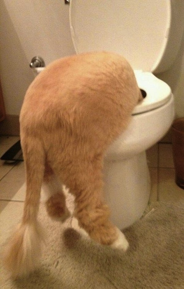  - 