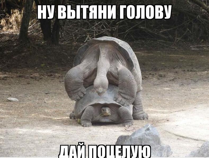 �������� ���� - 17 ������� 2014 � 17:29