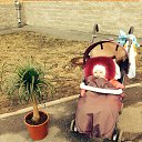  , -, 36  -  21  2014   