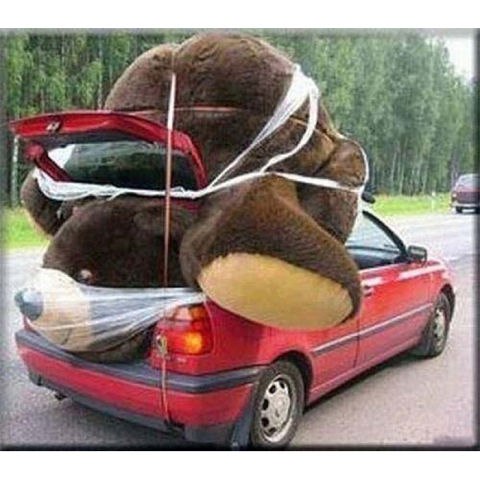 ������� �������