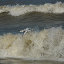 �� ����� ����� �� ������� ������